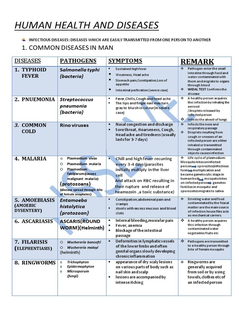 Human Health and Common Diseases Chart | PDF | Immune System | Lymphocyte