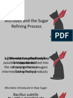 Microbes and The Sugar Refining Process