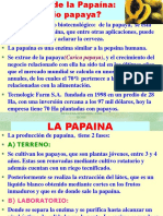PAPAINA (1).ppt