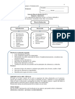 Plan de redacción PSU