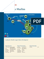 Petrobras Marlim.pdf