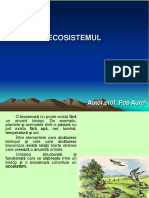 Prezentare Ecosistem