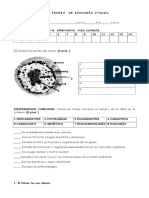 53947_p(1)NUCLEO-07.doc