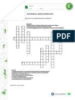 Crucigrama Respiratorio PDF