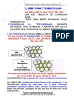 Vias de transporte da água em tecidos vegetais