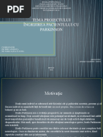 Avram Ionut Ppt