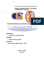 Informe Practicas Pre - Profesionales BCP - Miguel Alvarez Merma
