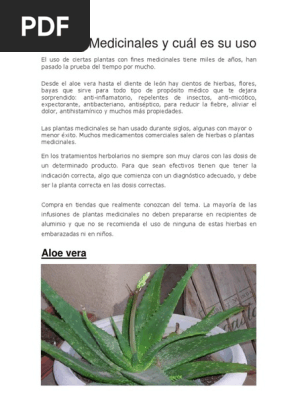 Plantas Medicinales Y Cual Es Su Uso Plantas Medicinales