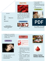 Leaflet Anemia