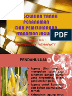 ppt jagung