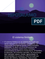 El hipotalamo y el sistema limbico