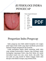 Anatomi Fisiologi Indera Pengecap