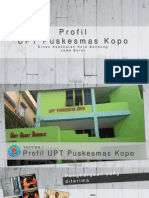 Profil Upt Puskesmas Kopo