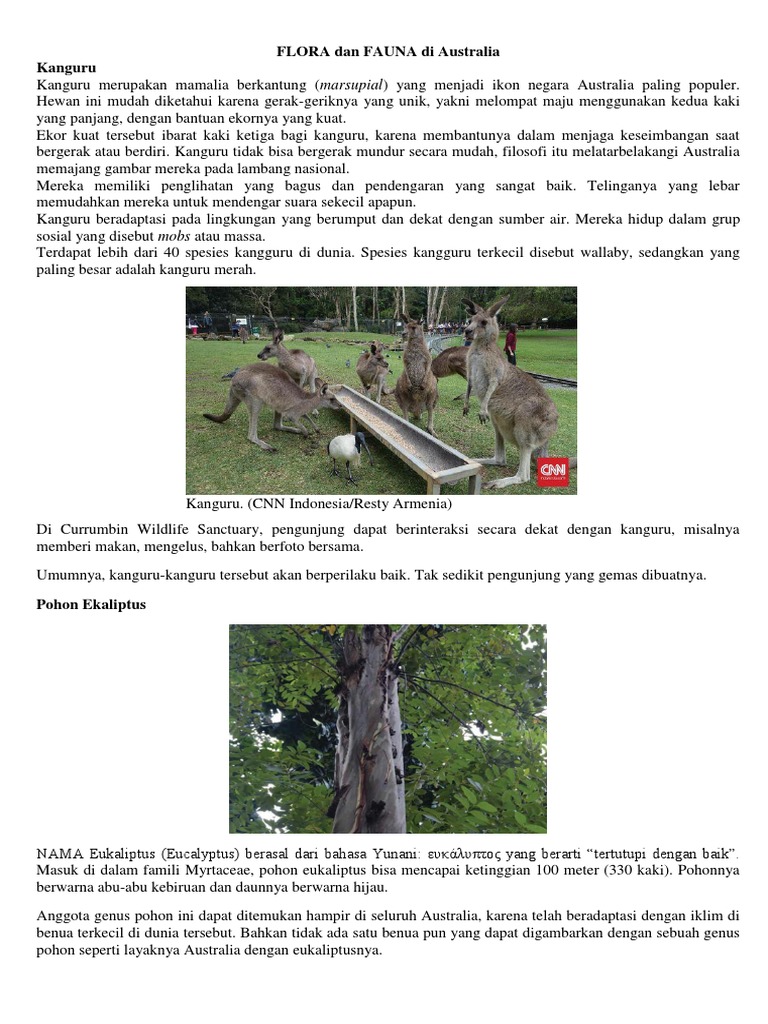 65+ Gambar Flora Dan Fauna Yang Ada Di Benua Eropa Terbaik ...