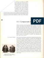 História geral da arte no Brasil (PAG 984- PAG 991).pdf