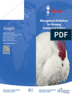 Guidelines For Growing Commercial Turkey