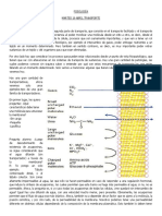 Canales+de+agua_1_PAPERI1FISIO