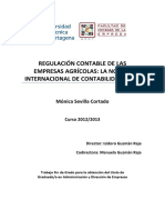 Contabilidad TFG PDF