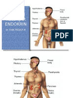 Anatomi Sistem Endokrin