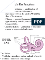 Middle Ear Functions