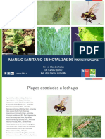 Manejo_sanitario_hortalizas_de_hoja_plagas.pdf