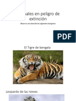 Animales en Peligro de Extinción