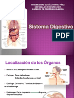 Aparato Digestivo Anatomía.pdf