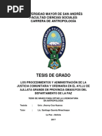 tesis justicia comunitaria