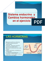 Sistema Endocrino y Cambios Hormonales en El Ejercicio