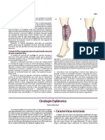 Fisio Cardiovascular Por Regiões