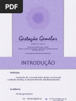 Gestação Gemelar 