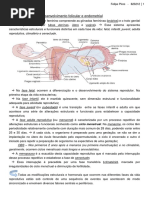 Pires - Tutoria Reprodução P1