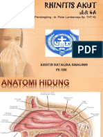 Slide Rhinitis Akut