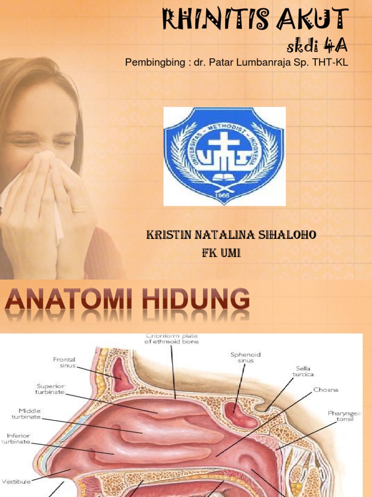 Panduan Lengkap Rhinitis Akut | PDF