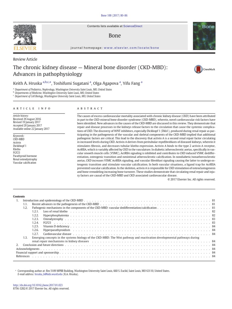 CKD MBD Patofisiologi PDF | PDF | Chronic Kidney Disease | Osteoblast