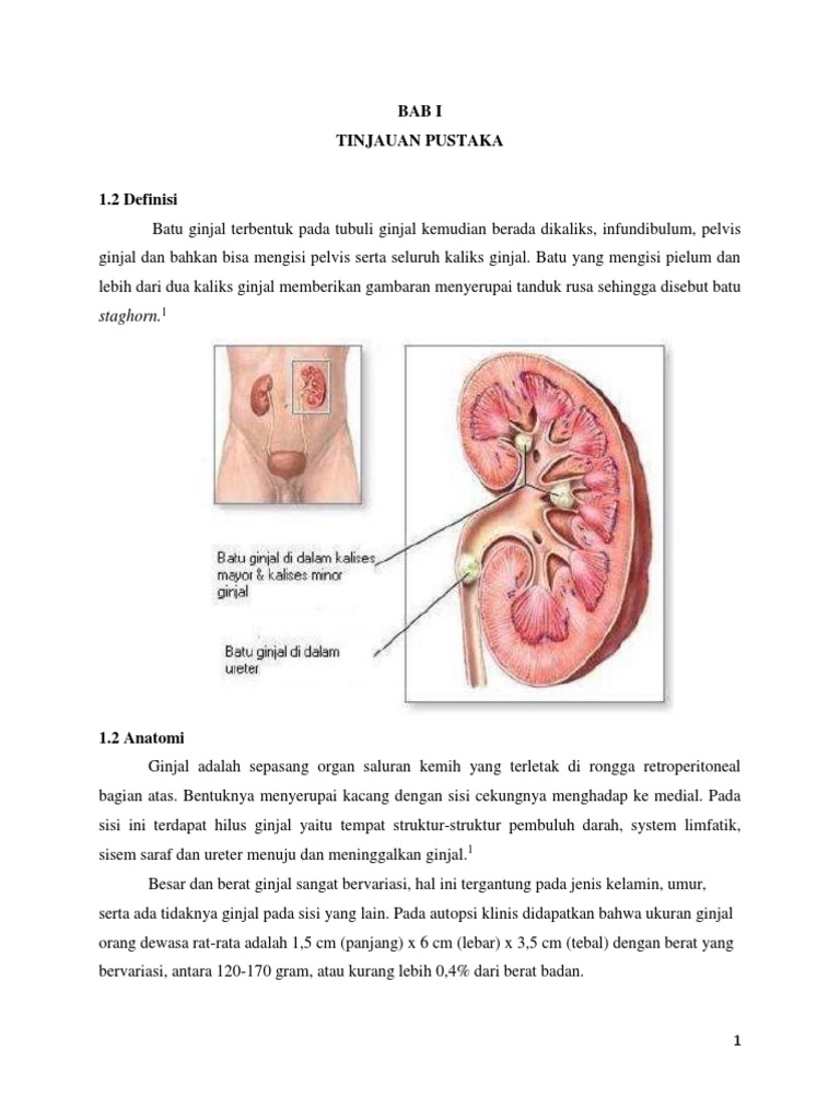 Batafsil uretral jinsiy aloqa