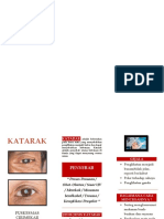 Katarak Leaflet