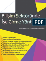 3 Bilisim Sektorunde