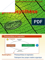 Photosynthese