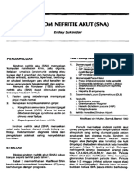 5 Sindrom Nefritik Akut PDF