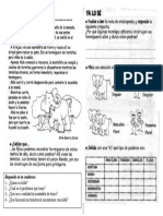 Actividades Genero Numero