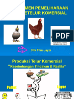 8-Manajemen Ayam Petelur - PPSX