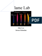 Flame Lab PDF