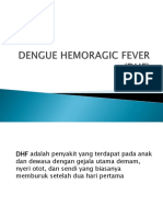 Dengue Hemoragic Fever