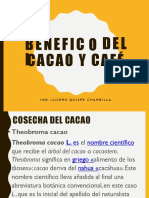 BENEFICIO CACAO 2 CLASE COSECHA DEL CACAO.pptx