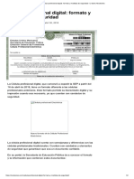 Cedula Profesional Digital - Formato y Medidas de Seguridad - El Diario Neoleonés