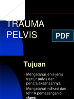 215431509 Trauma Pelvis Ppt