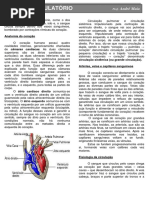 92 Bom Trabalho PDF