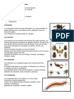 Animales Invertebrados.docx