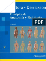 Accidente Cerebro Vascular Isquémico 15 Años y Más